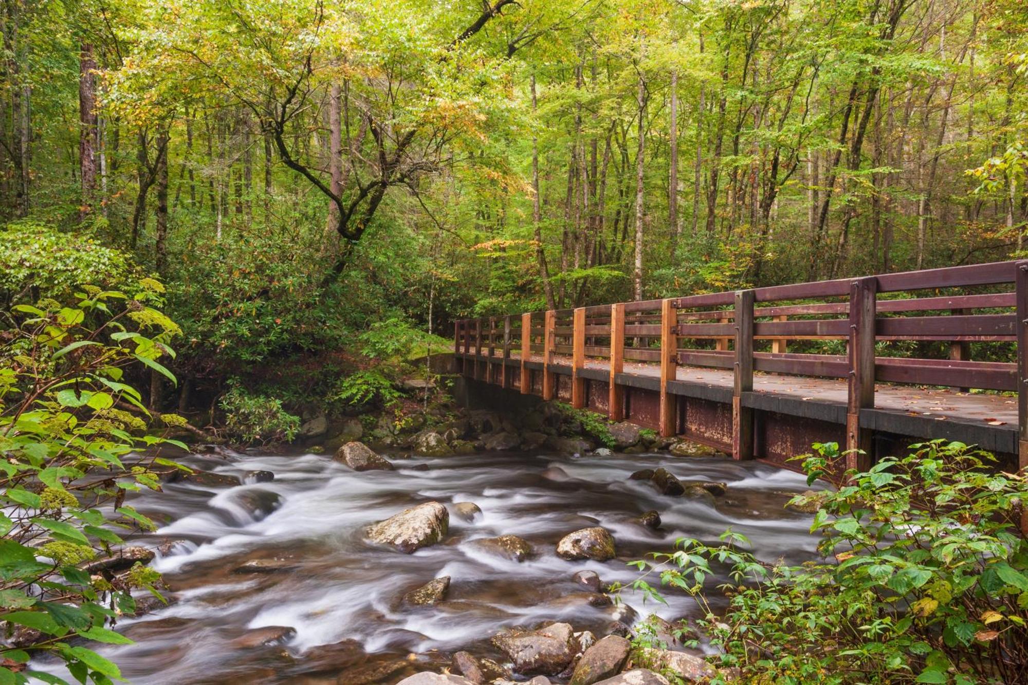 Apple Valley Hideaway, 1089 Of Free Attraction Tickets For Each Paid Day, Dollywood And More! Pigeon Forge Extérieur photo